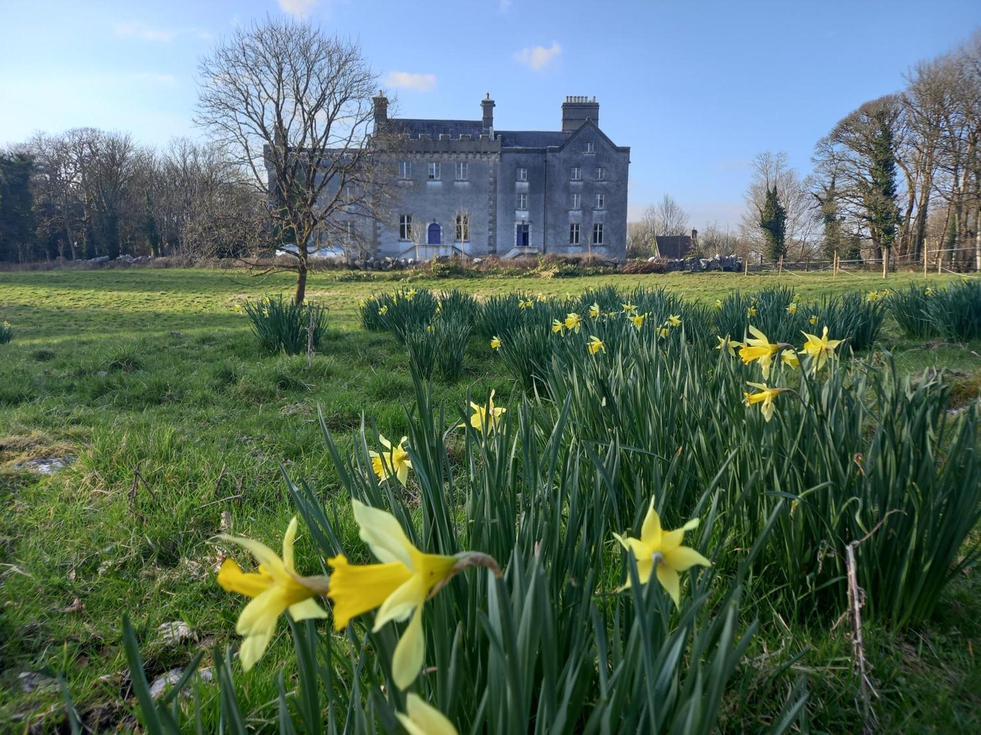 戈尔韦 Cregg Castle旅馆 外观 照片