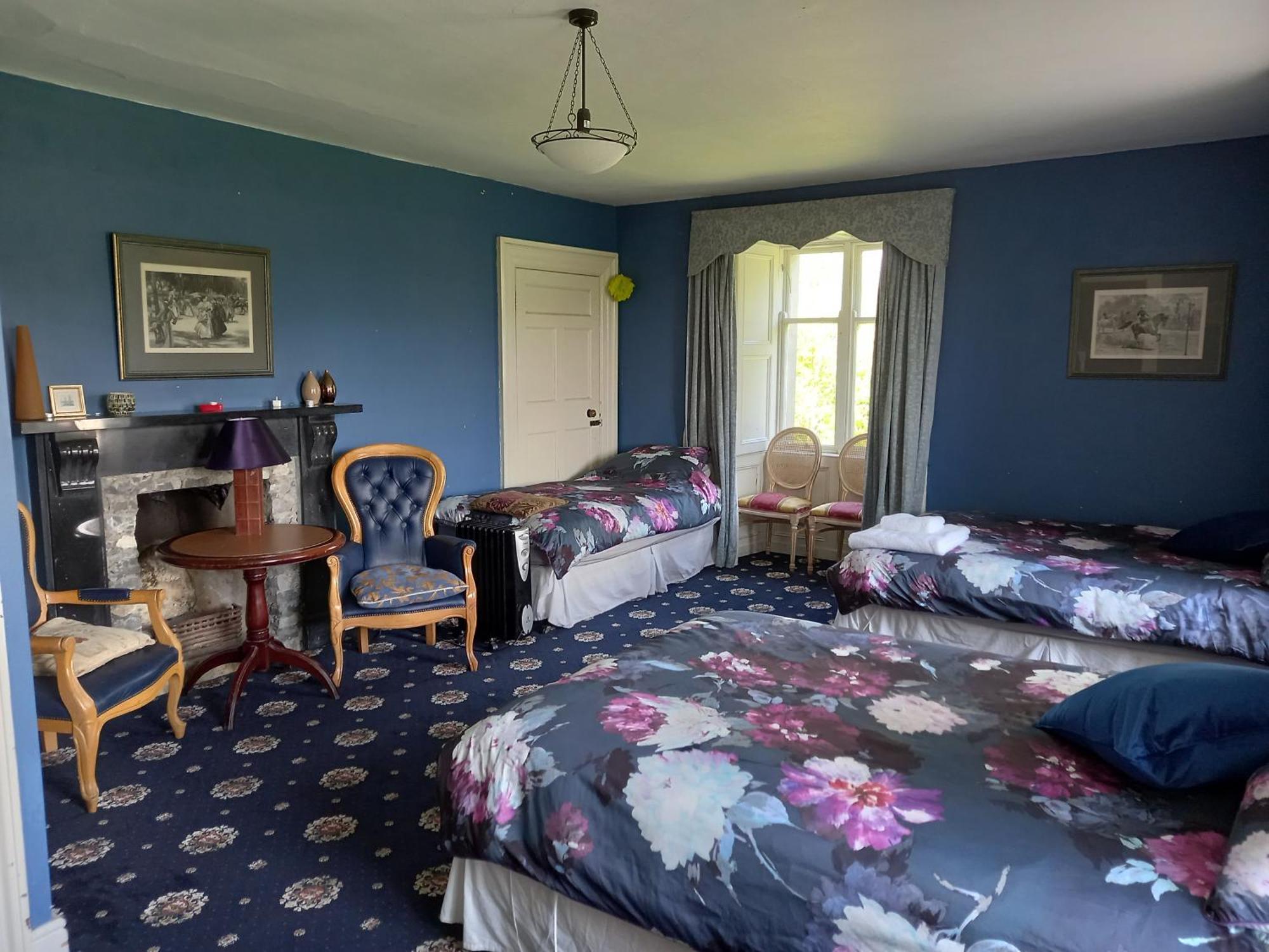 戈尔韦 Cregg Castle旅馆 外观 照片